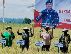 Sektor Pertanian Desa Tanjung Batu Berkembang Pesat, Edi Damansyah: Kami Terus Support