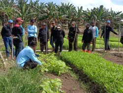 Tingkatkan Pemahaman Kelola Lahan Pertanian, LPB Gelar Pelatihan ke Sejumlah Kelompok Tani