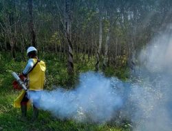 Disbun Kaltim Lakukan Pencegahan Jamur Pestalotiopsis SP pada Tanaman Karet di Kukar dan Balikpapan