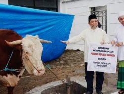 Wagub Kaltim Serakan Seekor Sapi Bantuan Presiden Jokowi ke Masjid Nurul Mu’minin