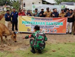 Pemkab Kutim Serahkan Hibah Ternak Sapi Bali Betina ke Kelompok Tani Baay Mandiri I di Kecamatan Karangan
