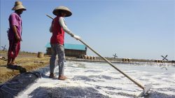 Desa Kersik Kukar Miliki Potensi Tambak Garam yang Mengiurkan, Jumadi: Kami Akan Kembangkan Lewat Bumdes