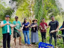 Baznas Kaltim Berikan Bantuan Pengembangan Budidaya Ternak Ikan Patin di Desa Suka Damai