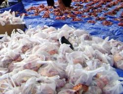Cegah Lonjakan Sampah, Pemprov Kaltim Larang Penggunaan Plastik untuk Kantong Daging Kurban Lewat Surat Edaran