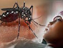 Komitmen Pemda Targetkan Kaltim Bebas Malaria Tahun 2027 Mendatang