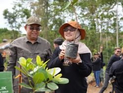 Melakukan Penanaman Serempak di RHL IKN, Sekda Sri : Mencegah Hutan Tropis